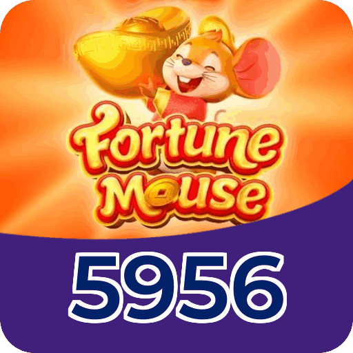 Termos e condições